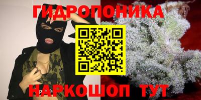 a pvp Краснознаменск