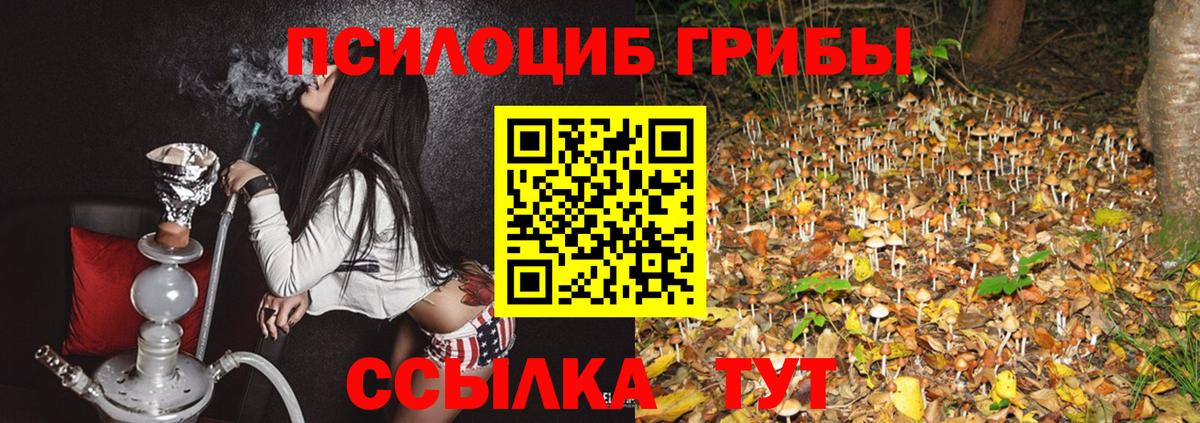 Псилоцибиновые грибы GOLDEN TEACHER Вологда