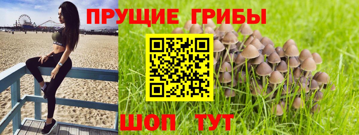 Вологда  Галлюциногенные грибы ЛСД  Вход с VPN  Псилоцибиновые грибы MAGIC MUSHROOMS 